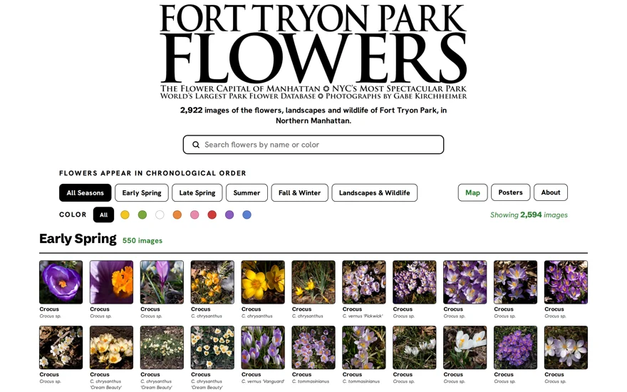 Fort Tryon Flowers, a photography-led searchable flower catalog
